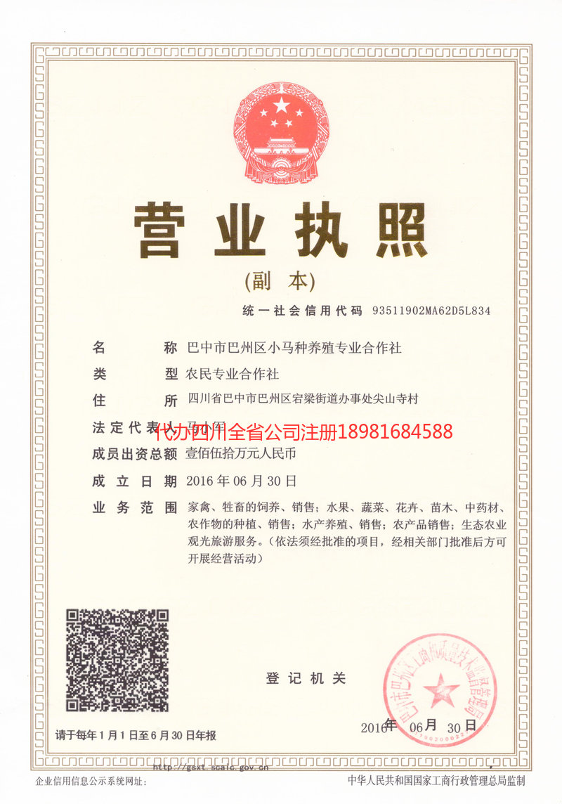 阿勒泰地区阿勒泰地区小马种养殖专业合作社